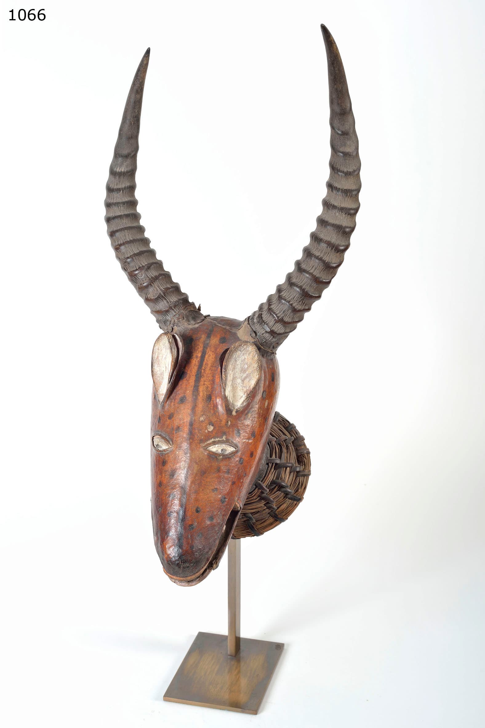 EKOI — masque appui-tête animal sur socle METRA